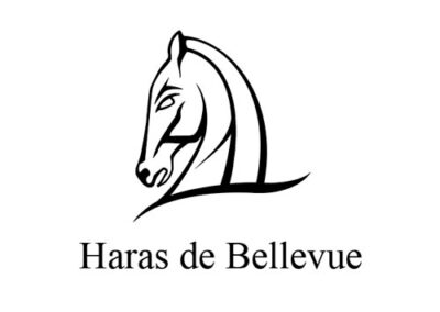 Haras de Bellevue